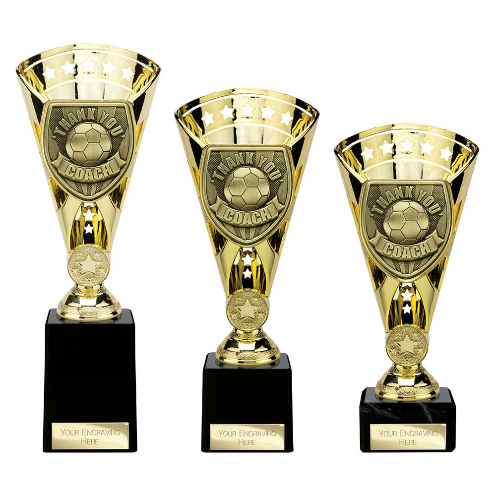 Cobra Star Cup Thank you Coach - Trophies - Prudhoe Rosettes