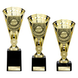 Cobra Star Cup Thank you Coach - Trophies - Prudhoe Rosettes