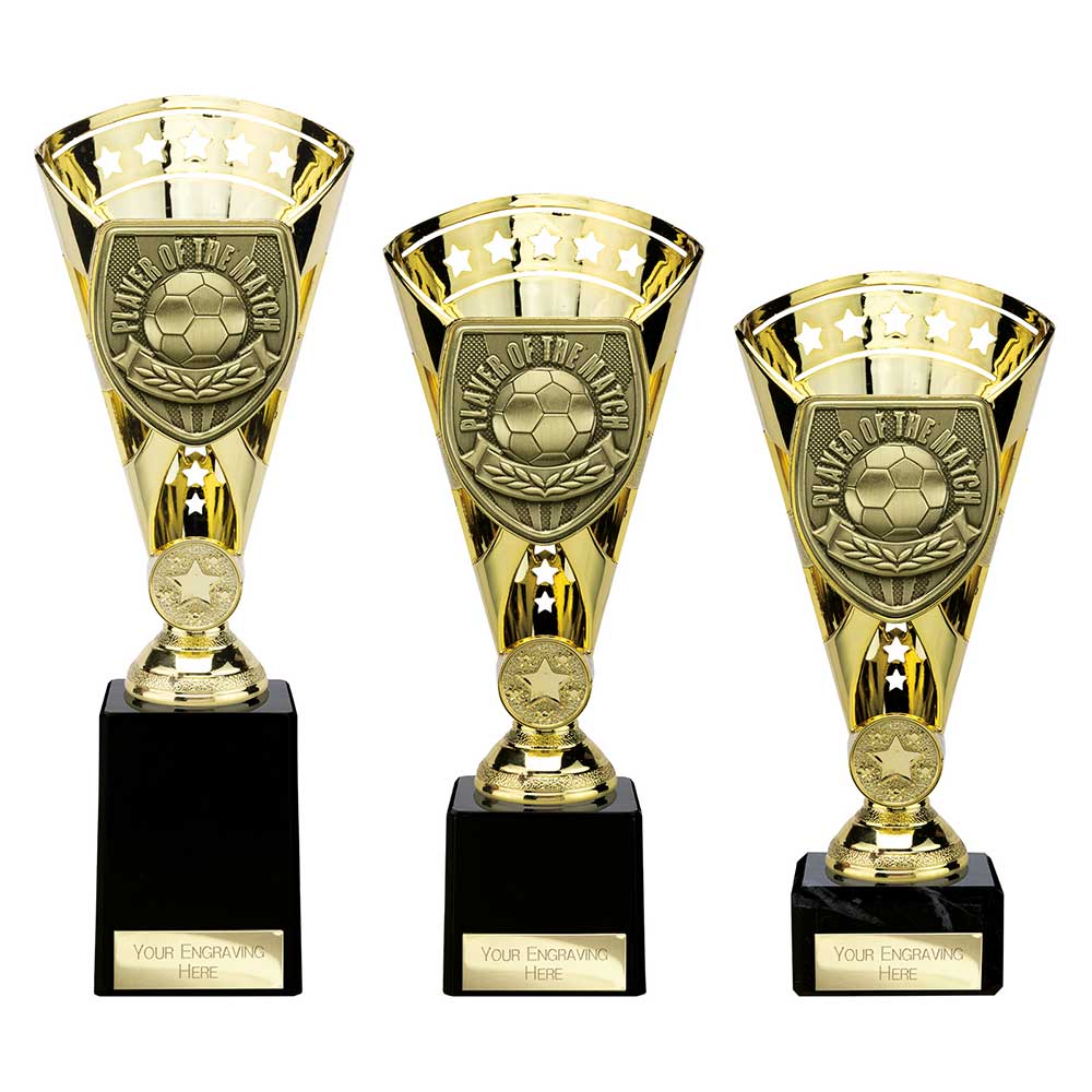 Cobra Star Cup Player of Match - Trophies - Prudhoe Rosettes