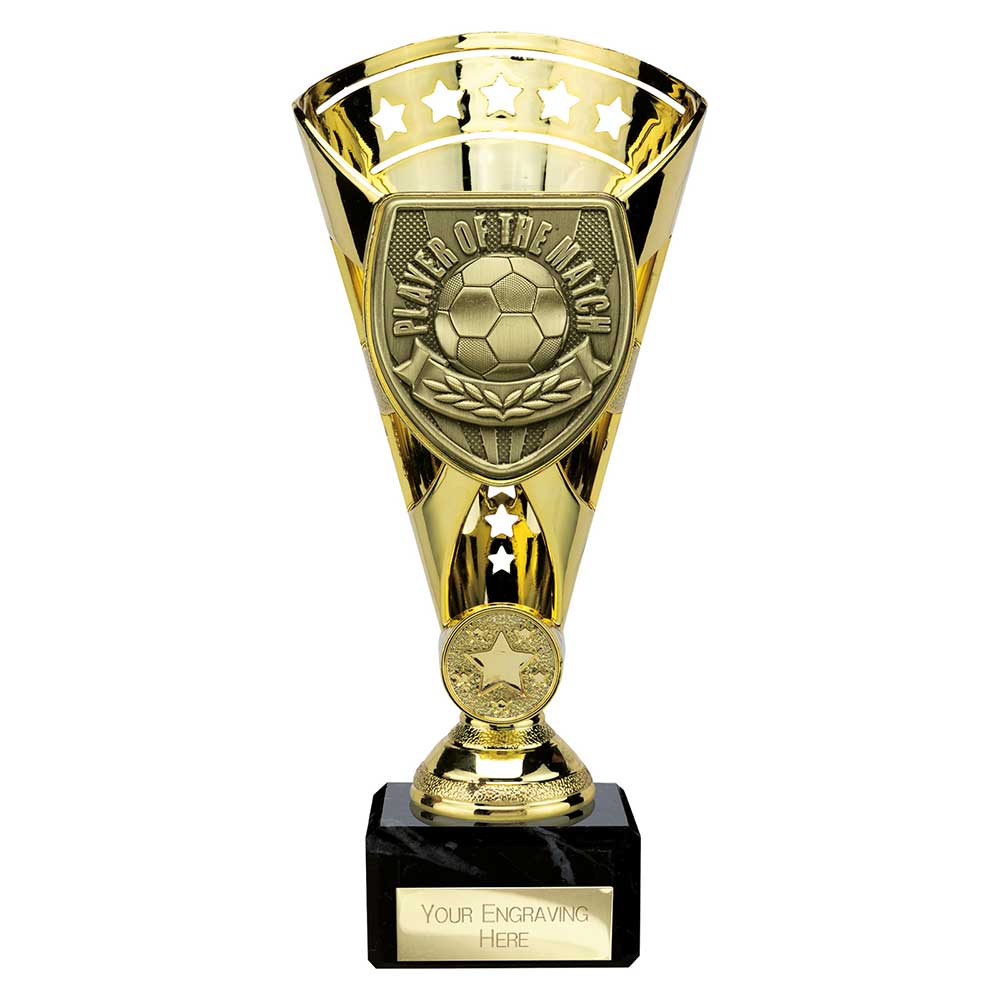 Cobra Star Cup Player of Match