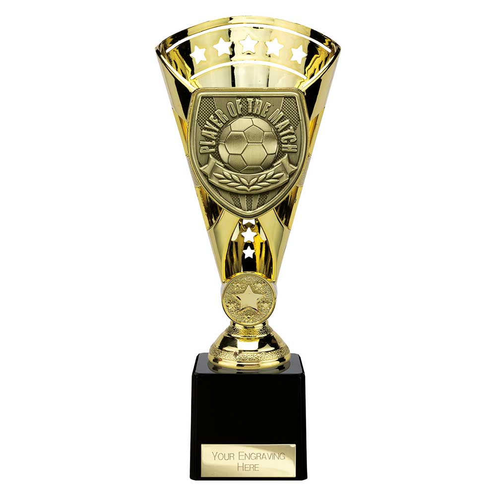 Cobra Star Cup Player of Match