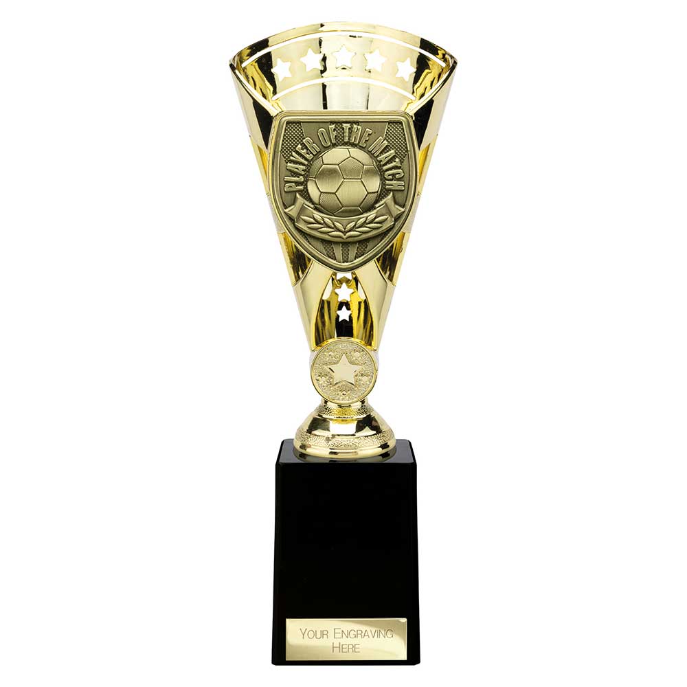 Cobra Star Cup Player of Match