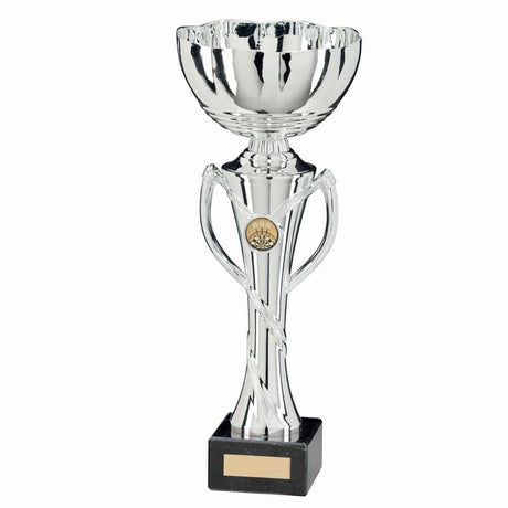 Hawkeye Cup Silver - Trophies - Prudhoe Rosettes