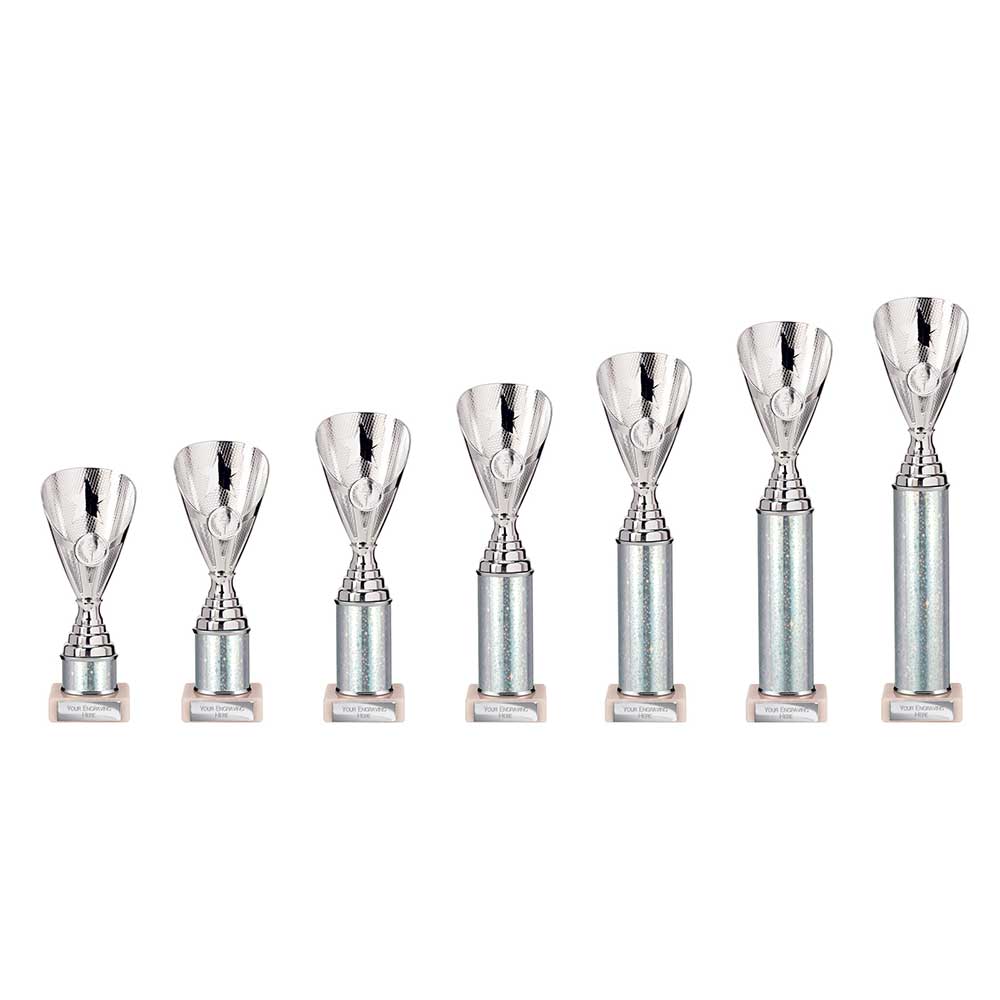 Rising Stars Plastic Trophy Silver - Trophies - Prudhoe Rosettes