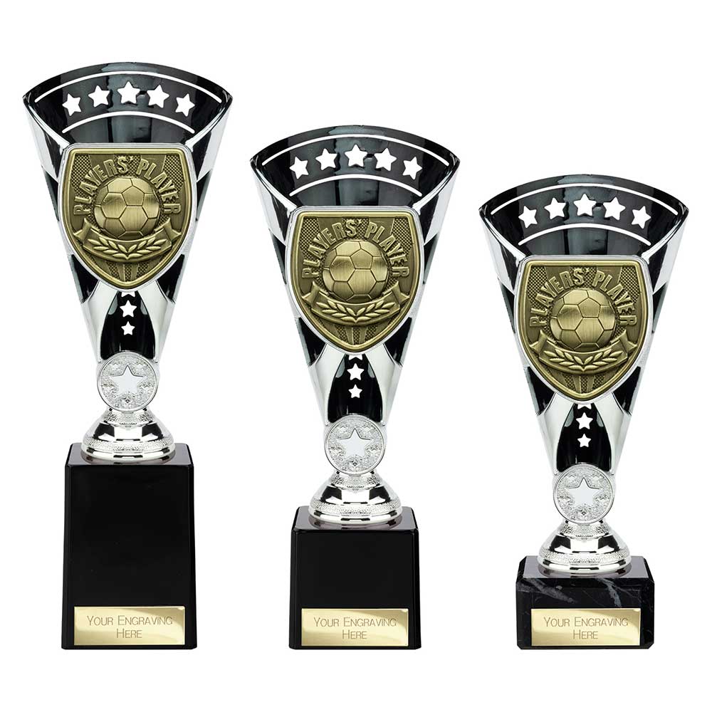 Cobra Star Cup Players Player - Trophies - Prudhoe Rosettes