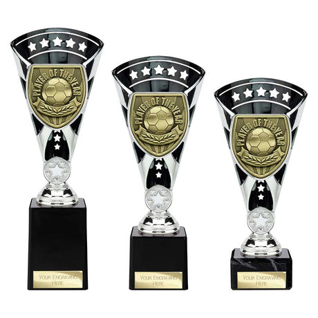 Cobra Star Cup Player of Year - Trophies - Prudhoe Rosettes