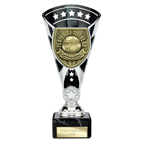 Cobra Star Cup Player of Year