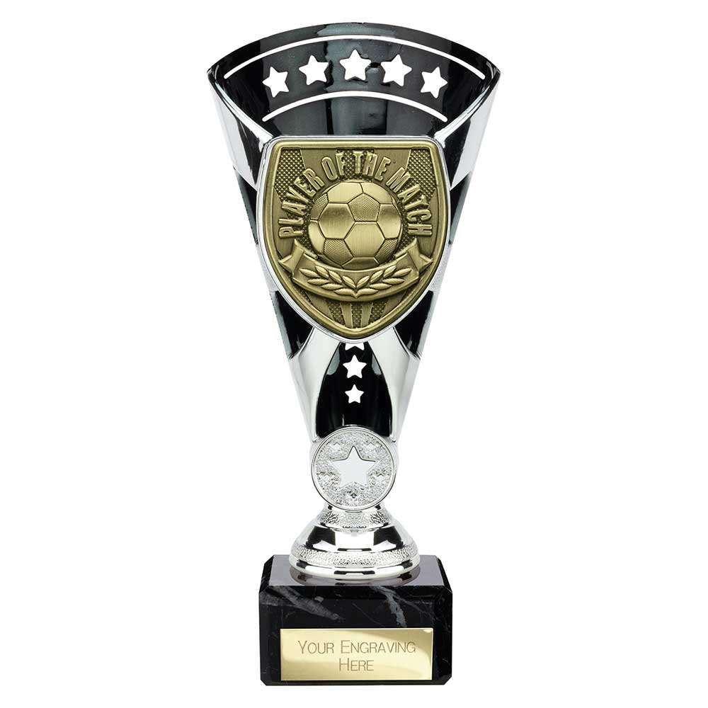 Cobra Star Cup Player of Match