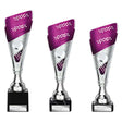 Predator Trophy Silver & Purple - Trophies - Prudhoe Rosettes