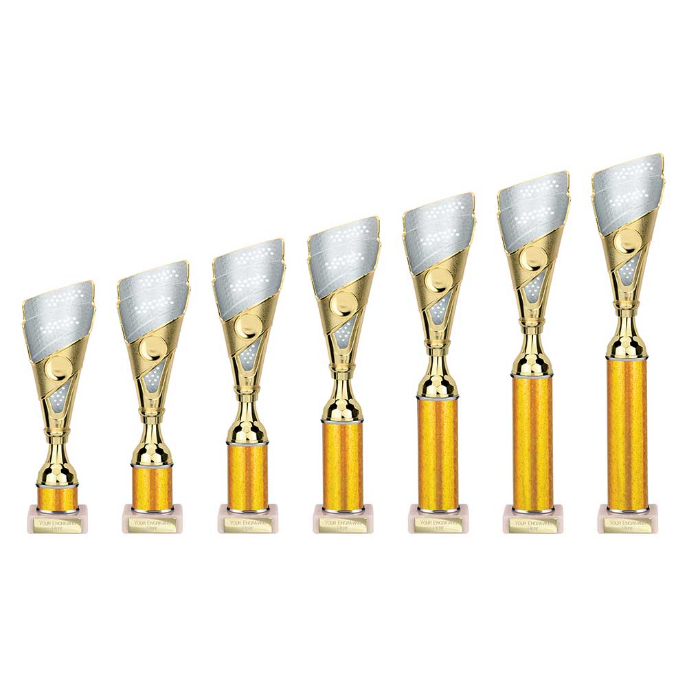Predator Multisport Tube Trophy Silver & Gold - Trophies - Prudhoe Rosettes