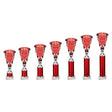 Cobra Star Multisport Tube Trophy Silver & Red - Trophies - Prudhoe Rosettes
