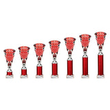 Cobra Star Multisport Tube Trophy Silver & Red - Trophies - Prudhoe Rosettes
