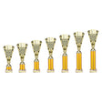 Cobra Star Multisport Tube Trophy Gold - Trophies - Prudhoe Rosettes