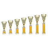 Cobra Star Multisport Tube Trophy Gold - Trophies - Prudhoe Rosettes