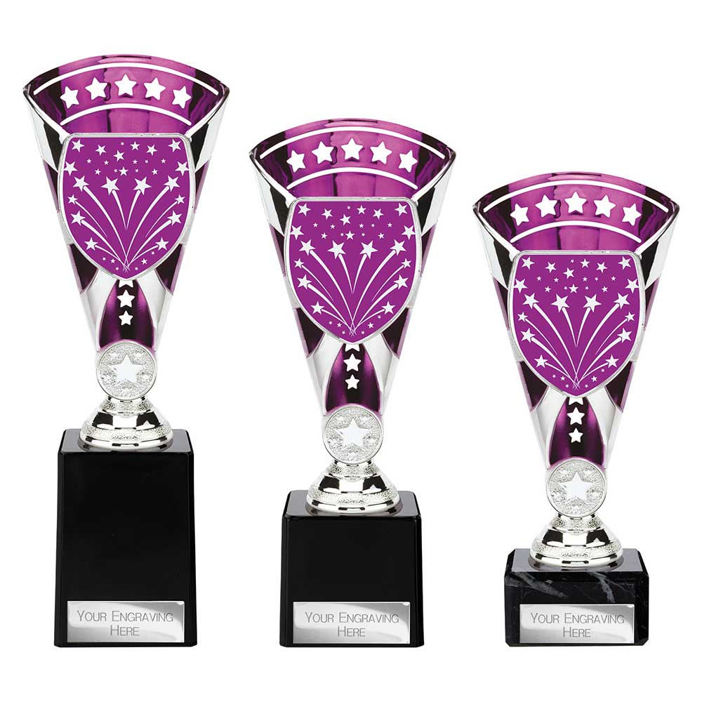 Cobra Star Multisport Cup Silver & Purple - Trophies - Prudhoe Rosettes