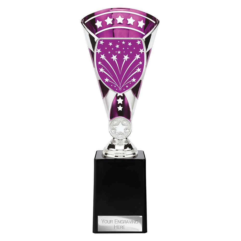 Cobra Star Multisport Cup Silver & Purple