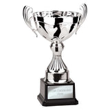 Endeavour Cup Silver