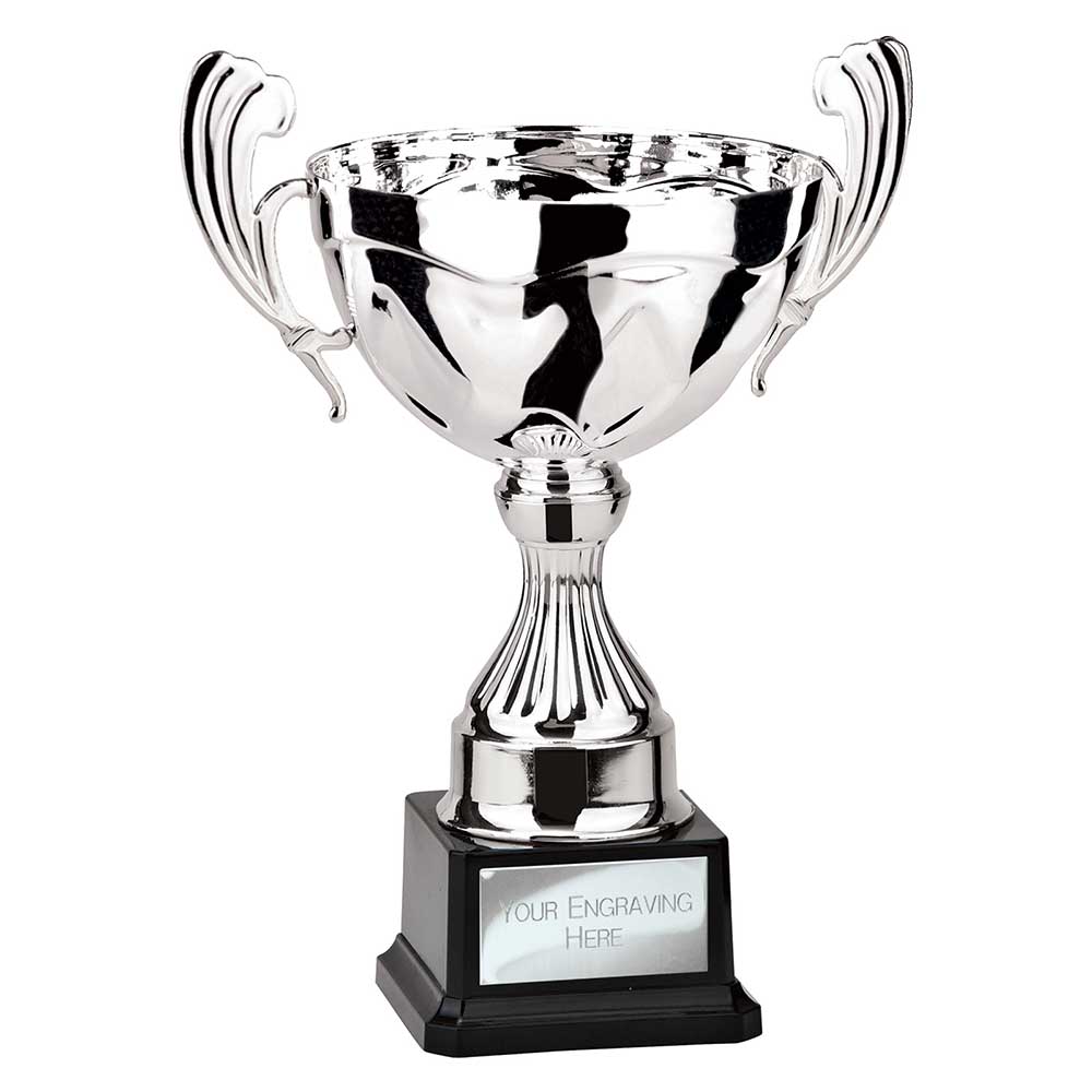 Endeavour Cup Silver