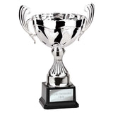 Endeavour Cup Silver