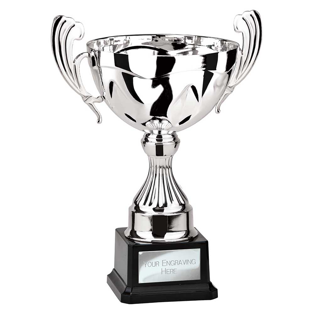 Endeavour Cup Silver