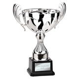 Endeavour Cup Silver