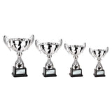 Endeavour Cup Silver