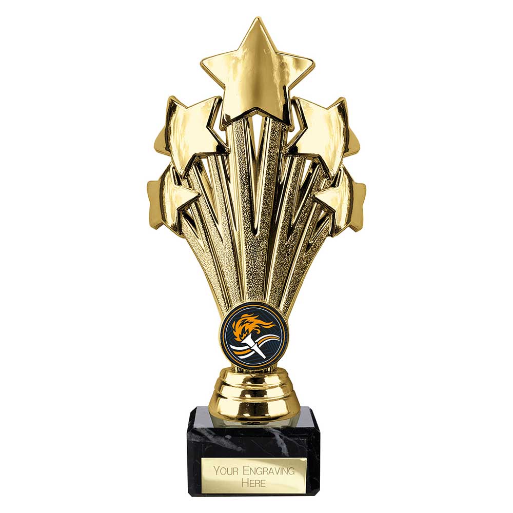 5 Star Trophy (Various Colour Options)