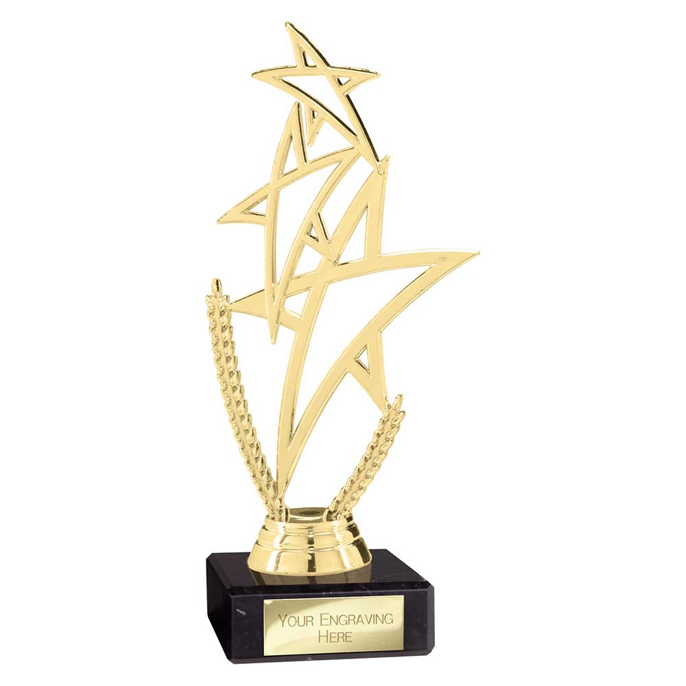 Rising Star Multisport Trophy (Three Colour Options)