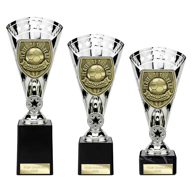 Cobra Star Cup Player of Year - Trophies - Prudhoe Rosettes
