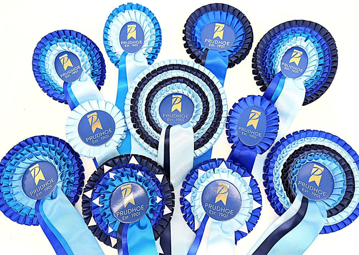 Elizabethan Pleated Rosettes - Our Premier Product